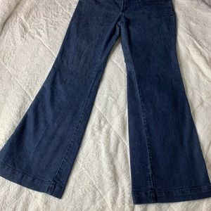 Banana Republic Wide/Loose-Leg